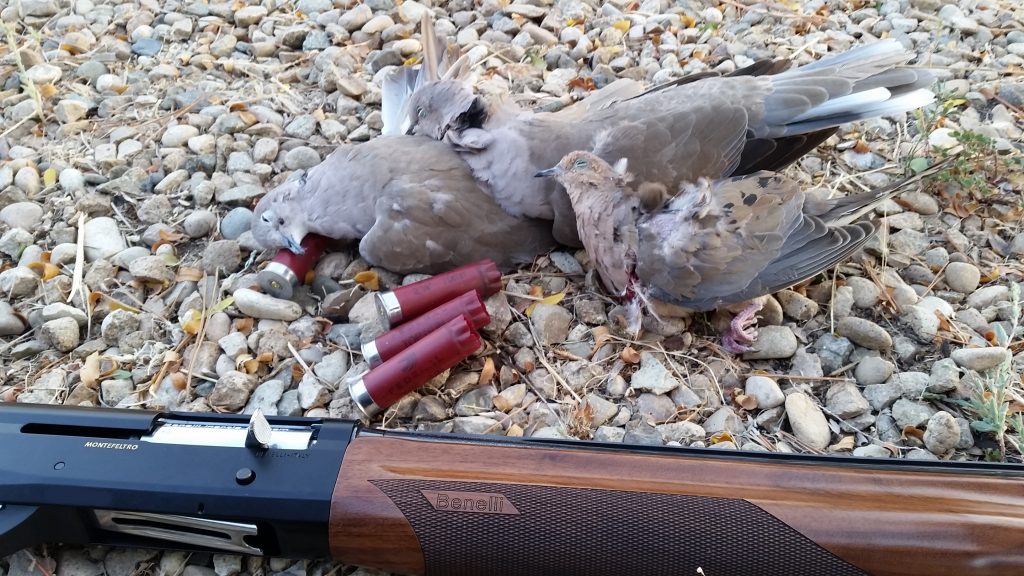 Benelli Dove Hunt