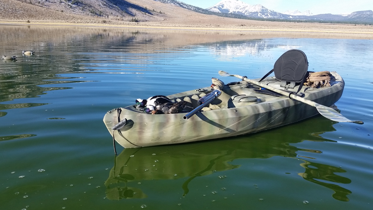 Duck Yak on the water