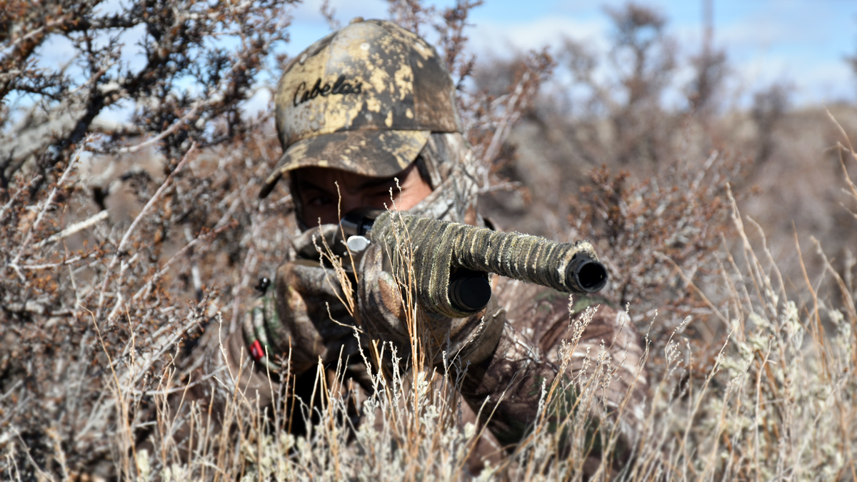 Concealement for a turkey hunt