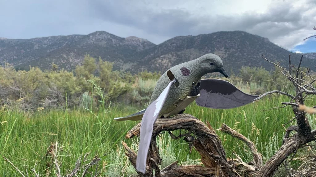 Lucky Duck Rapid Flyer Dove Decoy Flapping