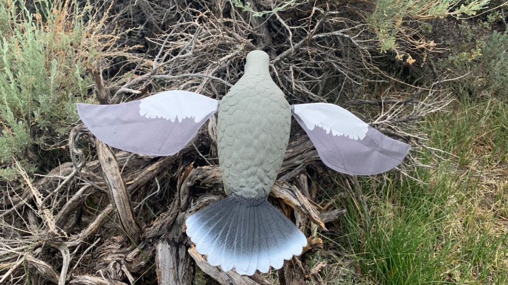 Lucky Duck Rapid Flyer Dove Decoy Top View