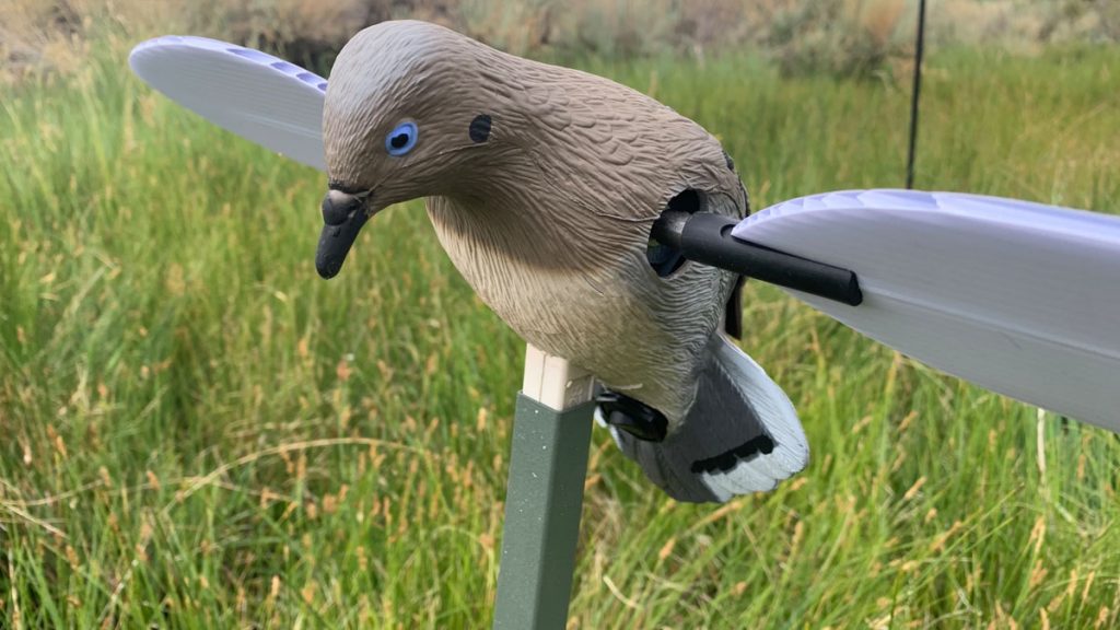 Mojo Voodoo Dove Decoy Close Up