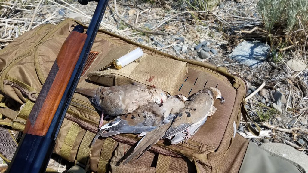 Doves Down