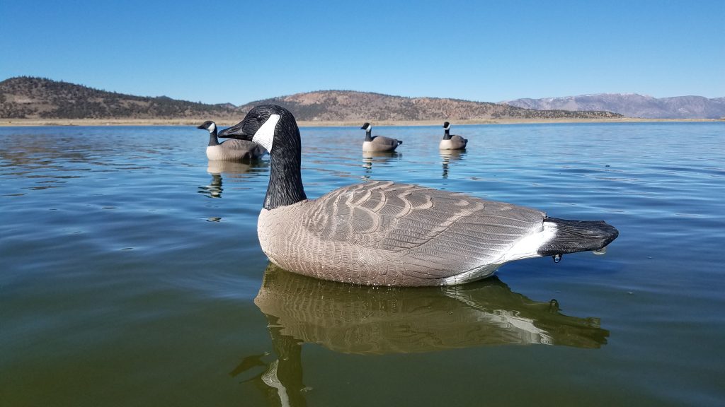 Canada Goose Floater Decoys
