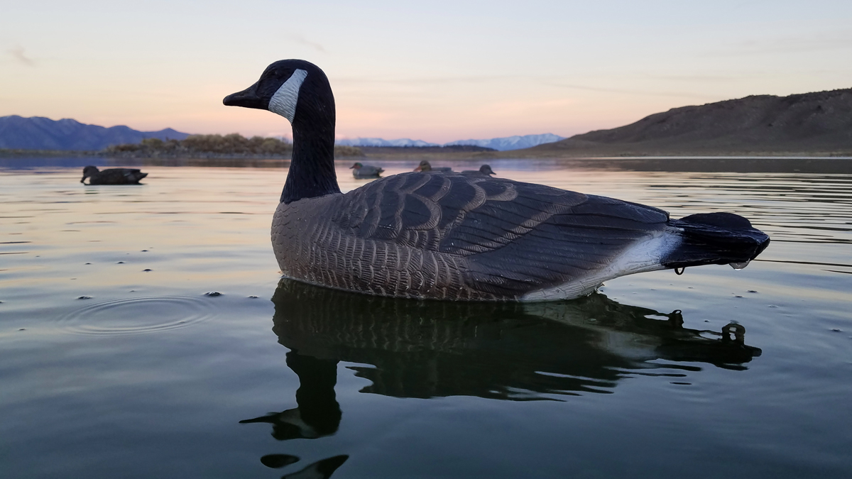 Goose Floater Decoy at Sunset