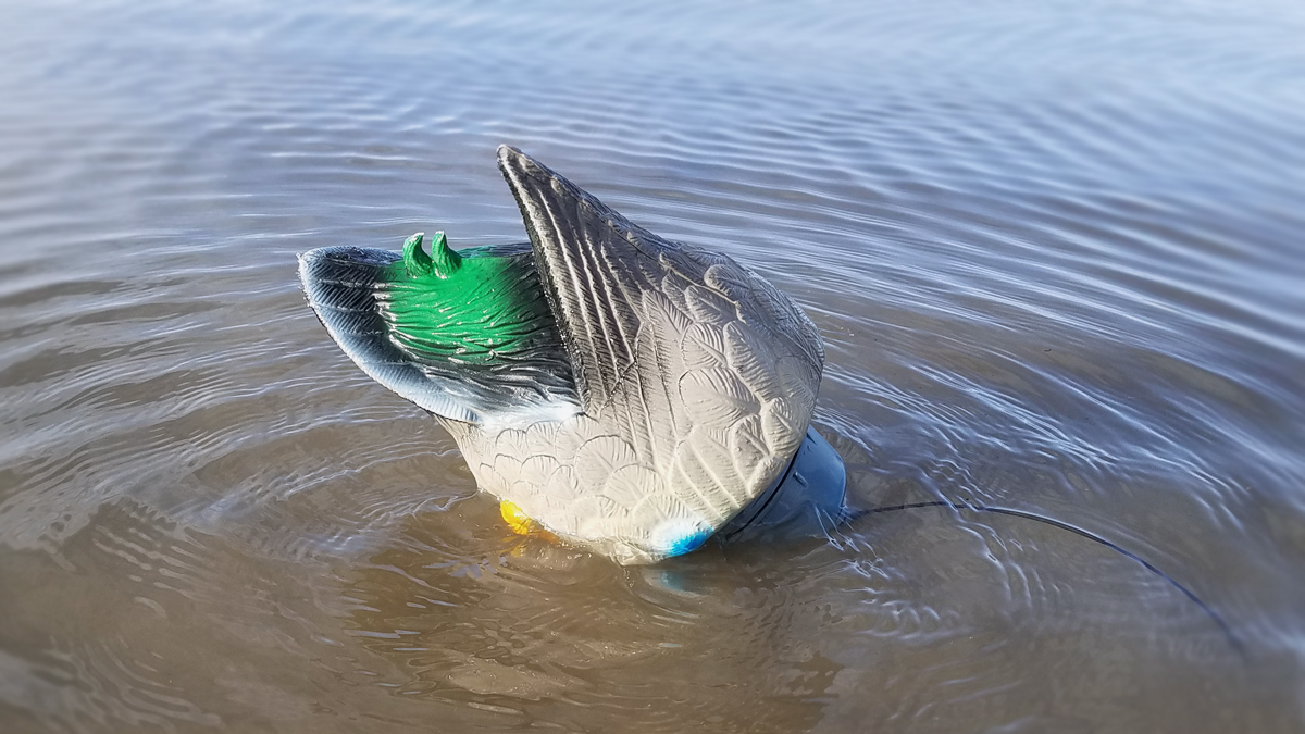 Modified Lucky Duck Quiver Magnet Modified