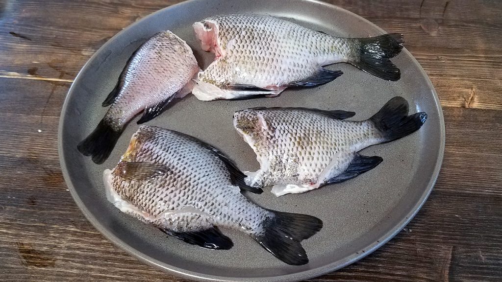 Cleaned Bluegill Before Cooking