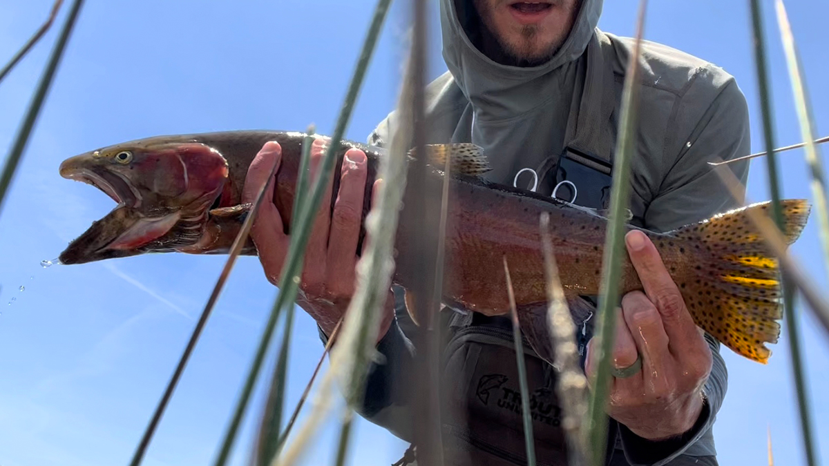 SMFR Cutthroat Catch and Release